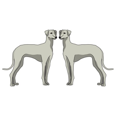 Signmission Sloughi Dog Decal, Dog Lover Decor Vinyl Sticker D-18-Sloughi